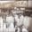Murray Bros Pty Ltd - Blog