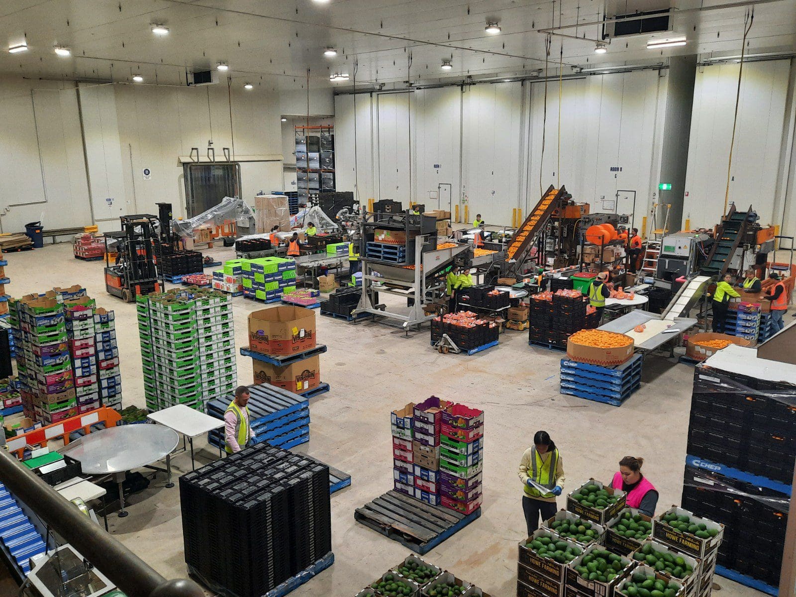 pre pack floor 4 Murray Bros Pty Ltd - Murray Bros celebrates 100 years of trade!